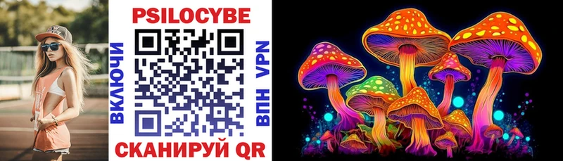Галлюциногенные грибы Psilocybine cubensis Минусинск